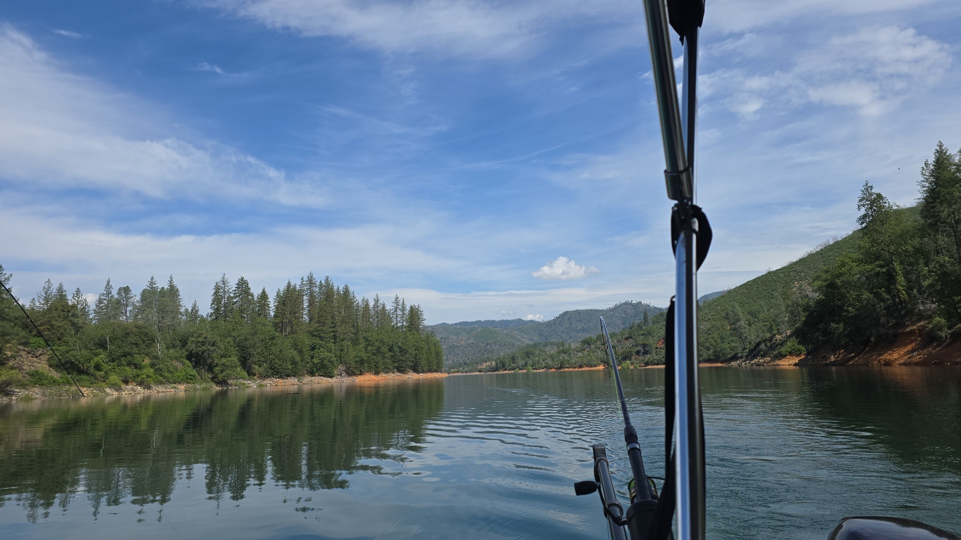 A guide's-eye view across Shasta Lake from Scott Caldwell's boat, rod ready, forested Northern California shoreline beyond